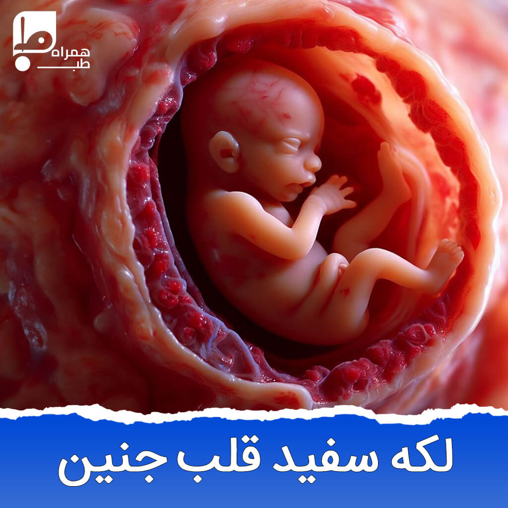 لکه سفید در قلب جنین؛ آیا باید نگران باشید؟